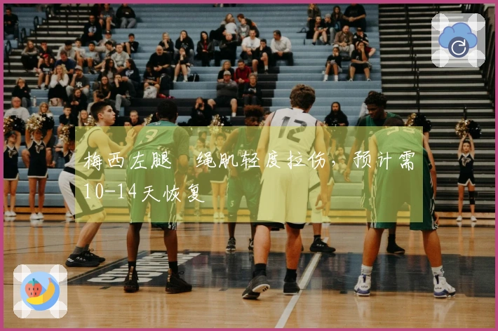 梅西左腿腘绳肌轻度拉伤，预计需10-14天恢复